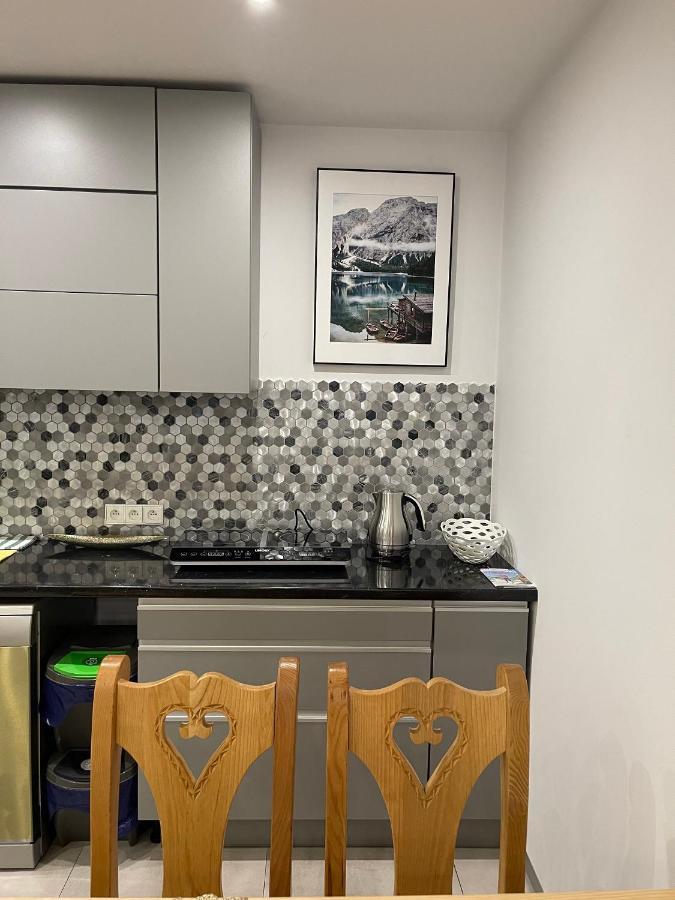 Apartamenty Ermitage ザコパネ エクステリア 写真