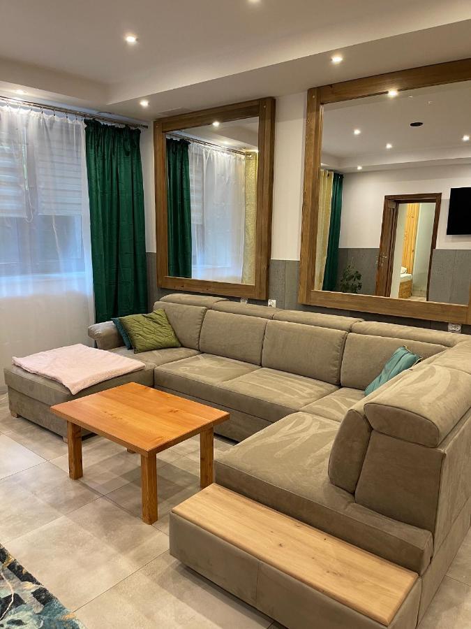Apartamenty Ermitage ザコパネ エクステリア 写真