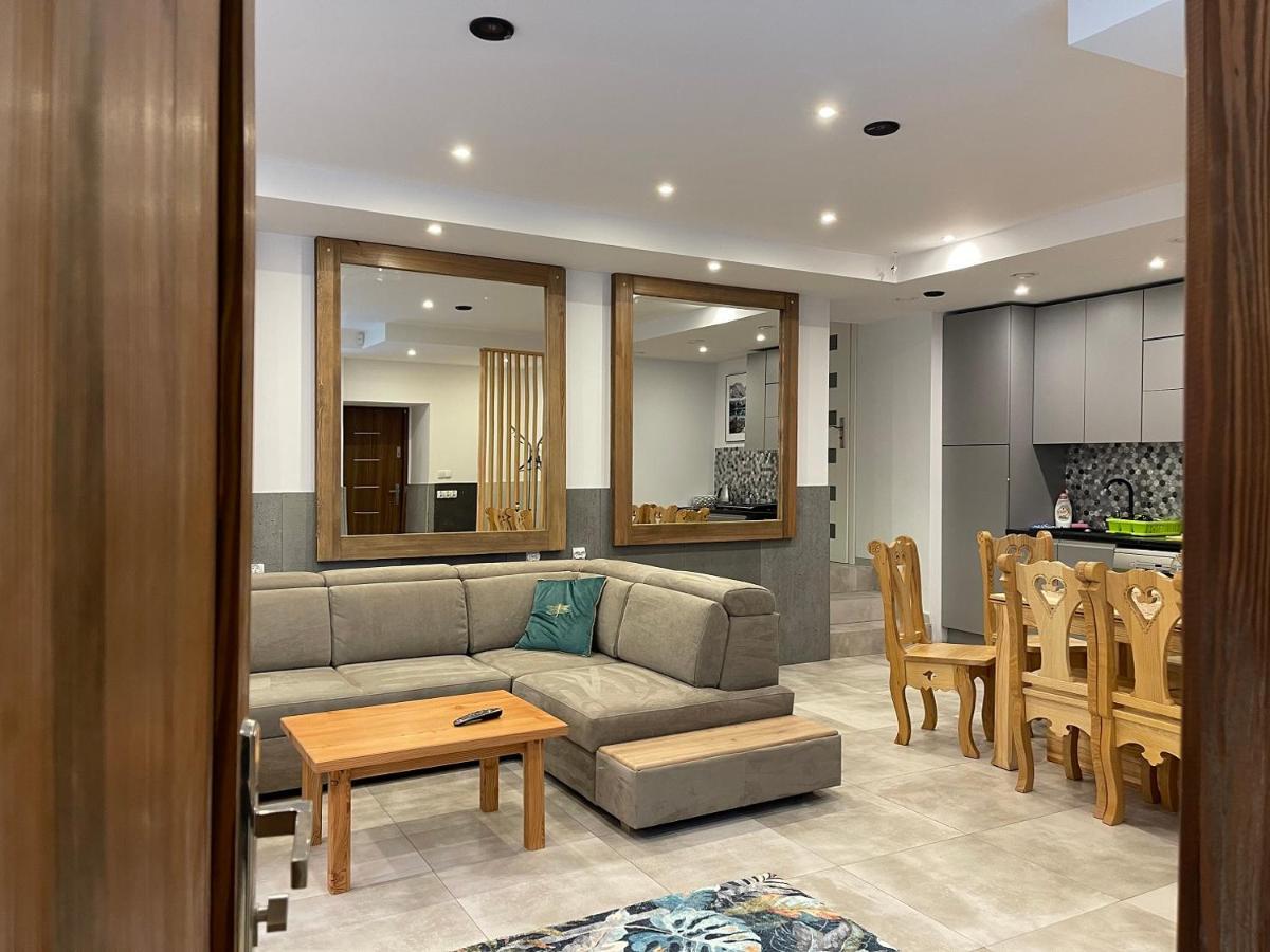 Apartamenty Ermitage ザコパネ エクステリア 写真