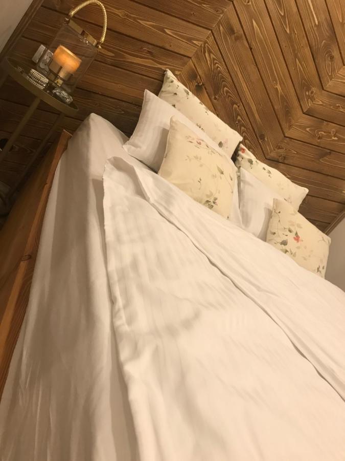 Apartamenty Ermitage ザコパネ エクステリア 写真