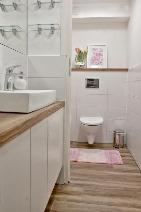 Apartamenty Ermitage ザコパネ エクステリア 写真